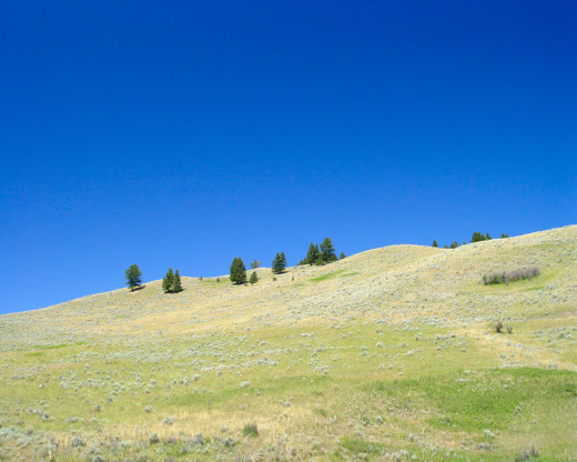 33346 (a): :1280x1024